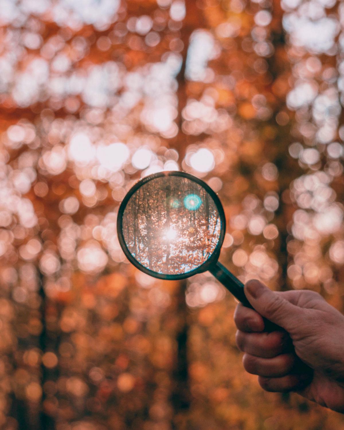 Image of a person examining insurance documents with a magnifying glass