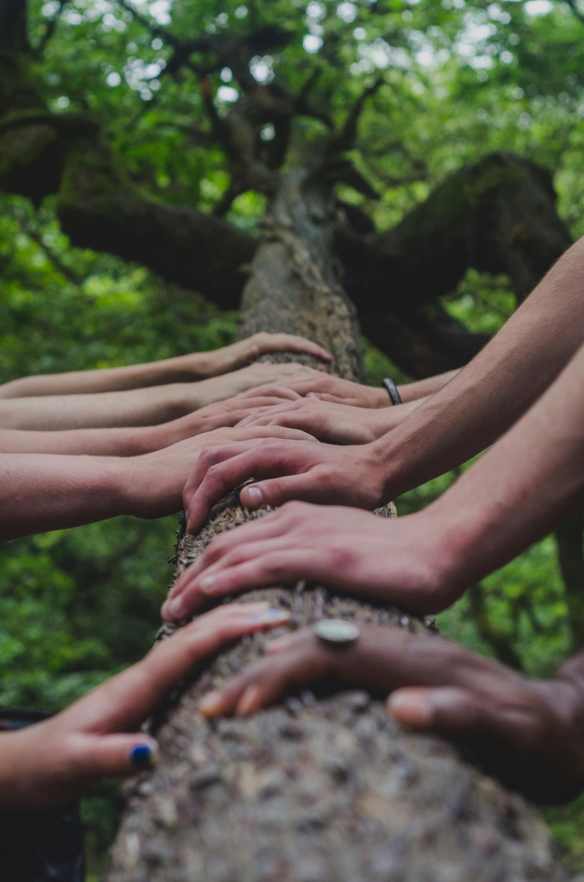 A diverse group of people holding hands, symbolizing collaboration and interaction in digital storytelling.