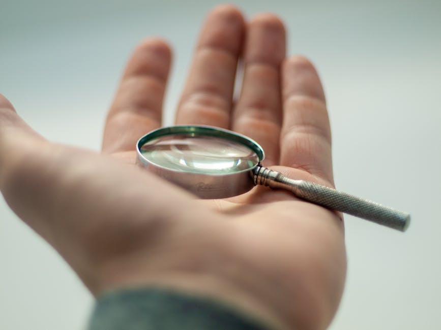 A magnifying glass analyzing SEO strategy for a law firm